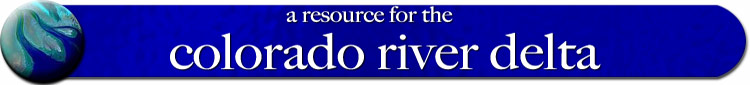 a resource for the colorado river delta