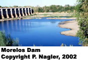 Morelos Dam