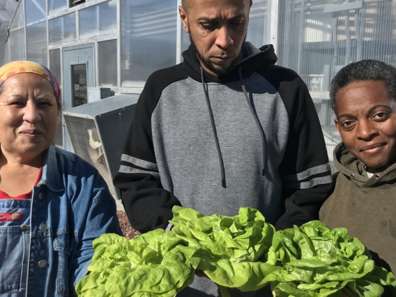Participants holding heads of lettuce