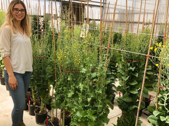 Amanda Bogden in greenhouse