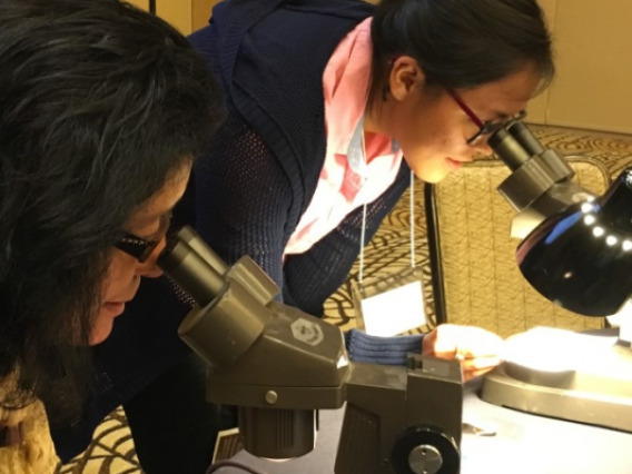 Community members peer through microscopes at common pests